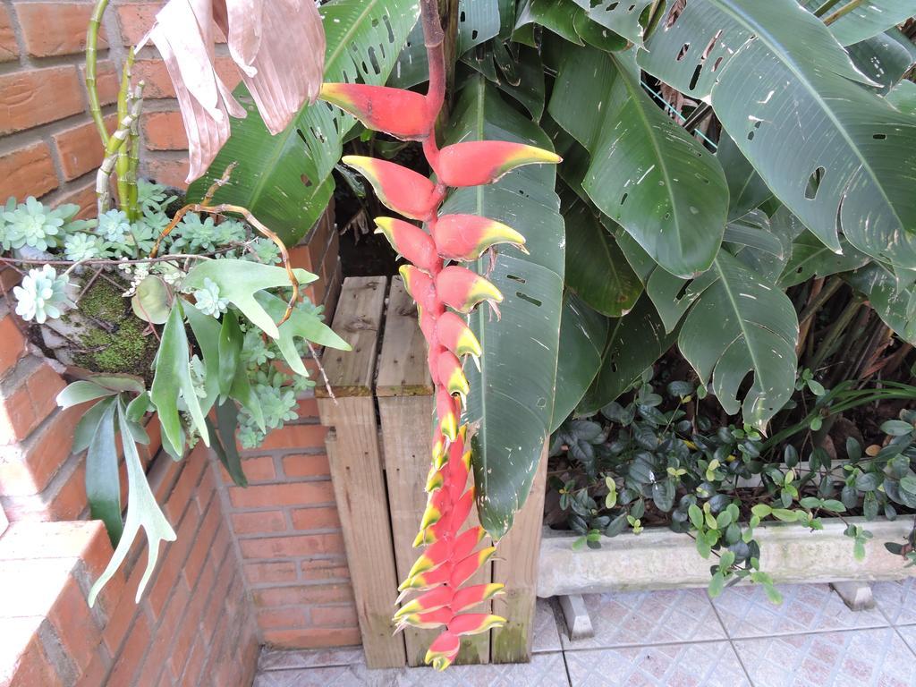 Pousada Don Alberto'S Florianópolis 외부 사진
